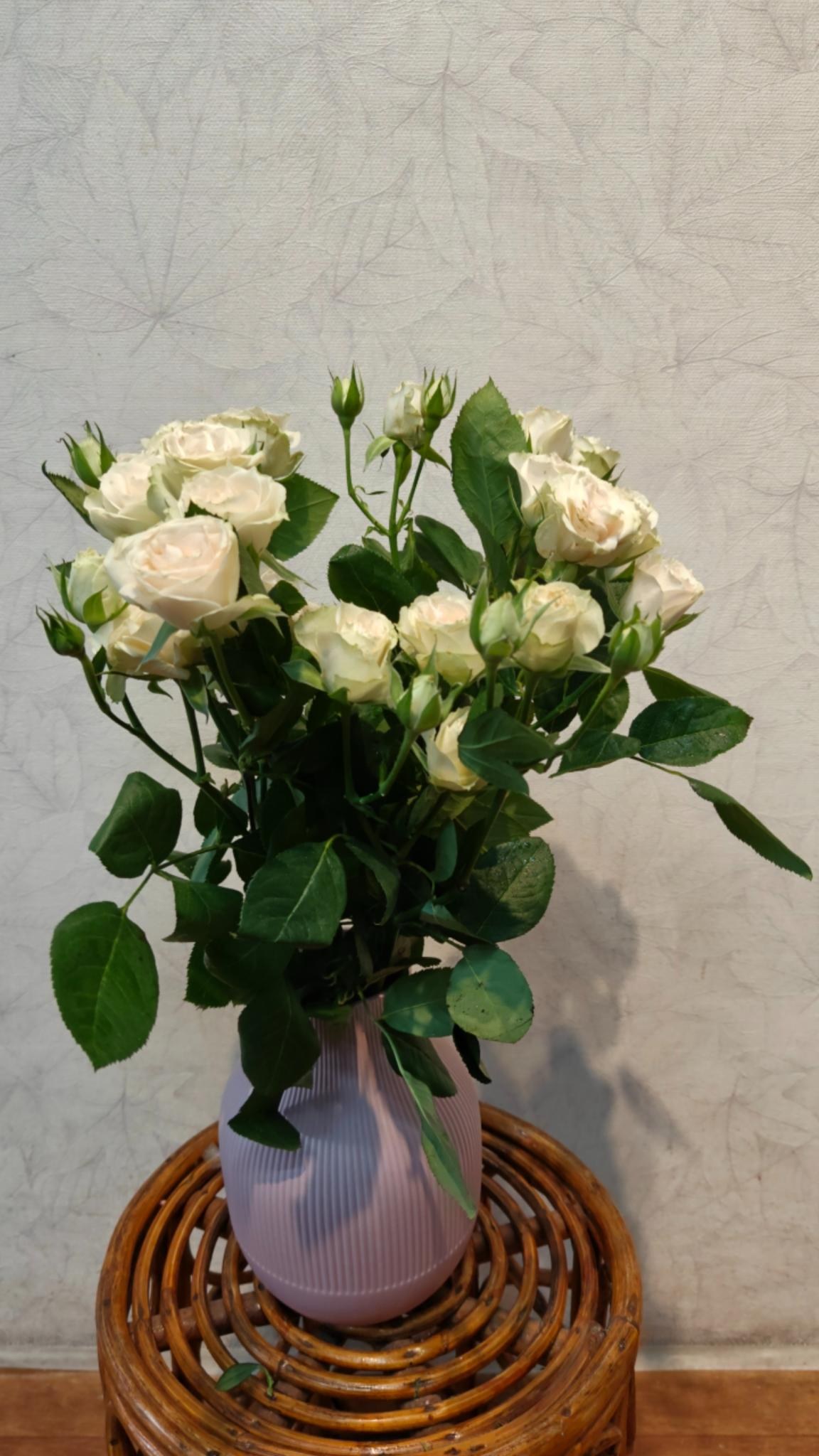 Spray Roses