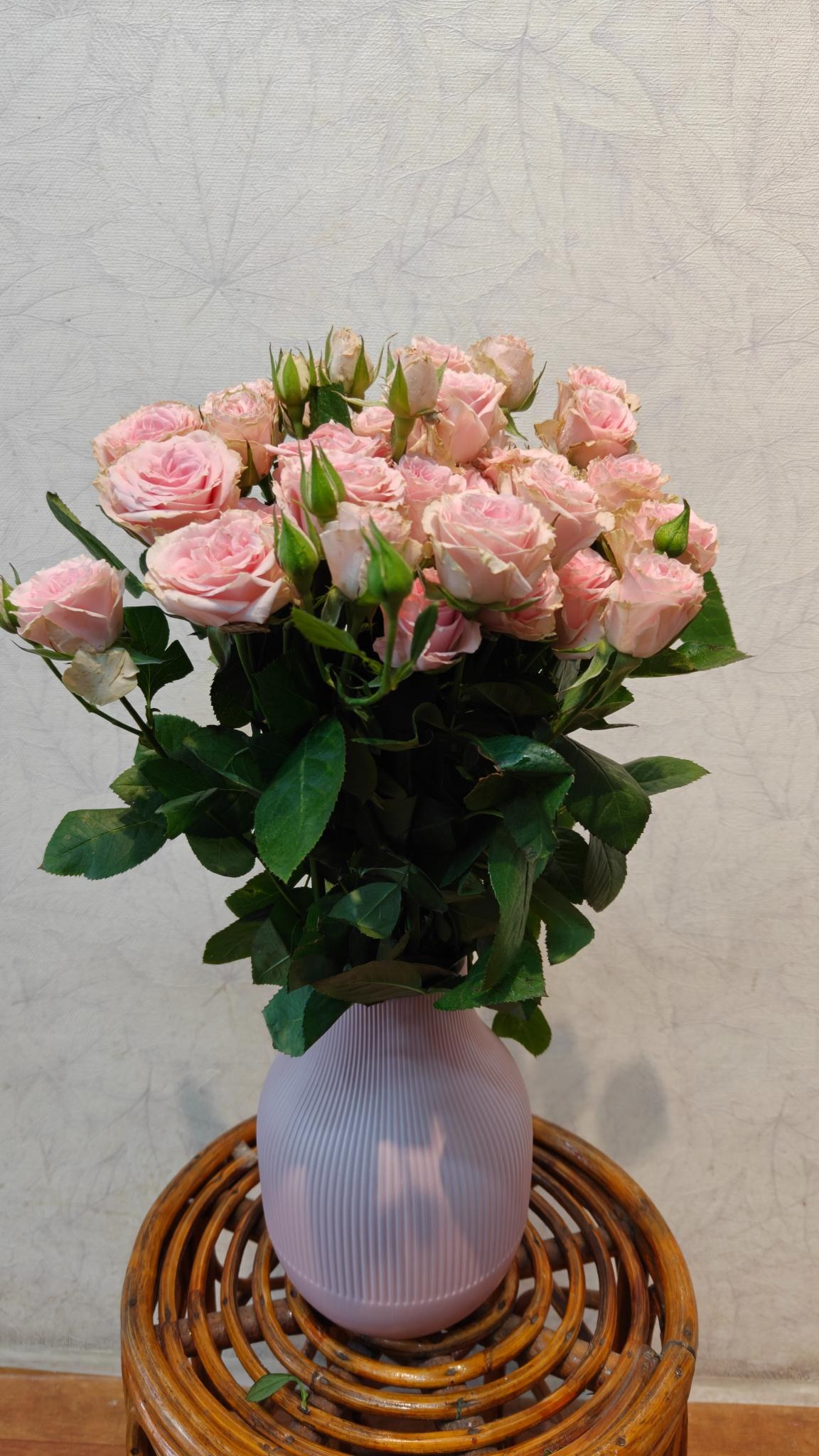 Spray Roses -pink