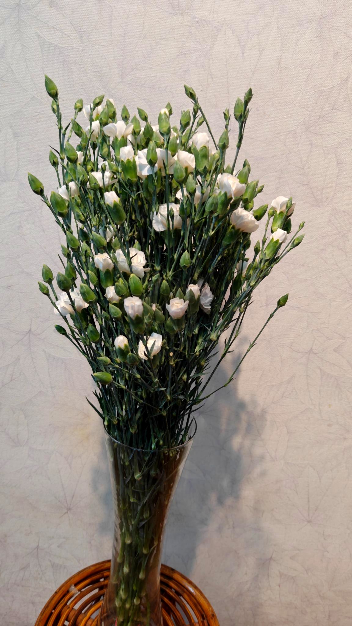 Spray carnations