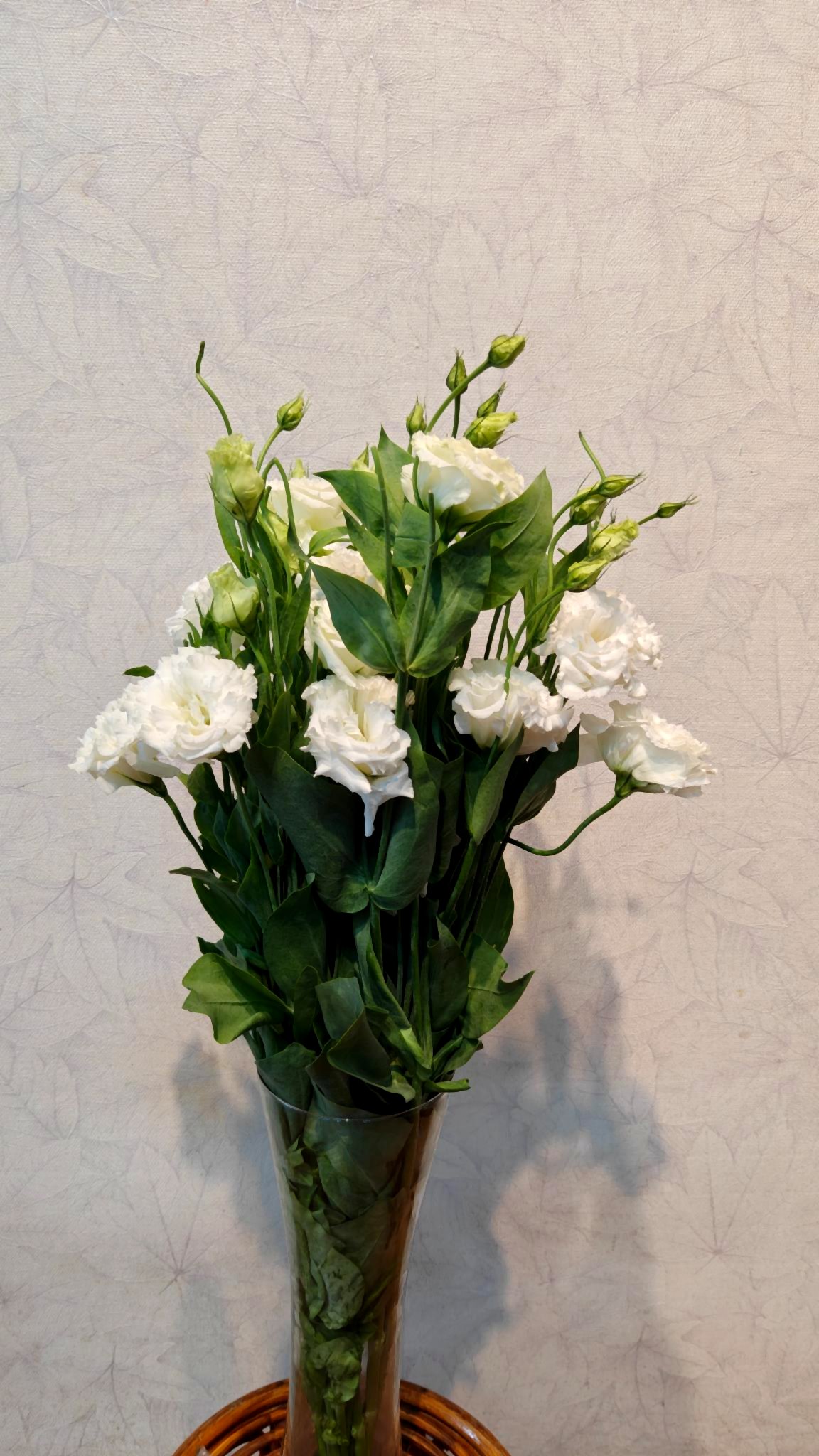 Eustoma