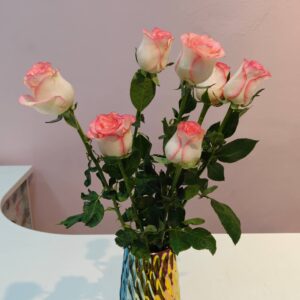Single Rose
