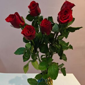 Single Rose red