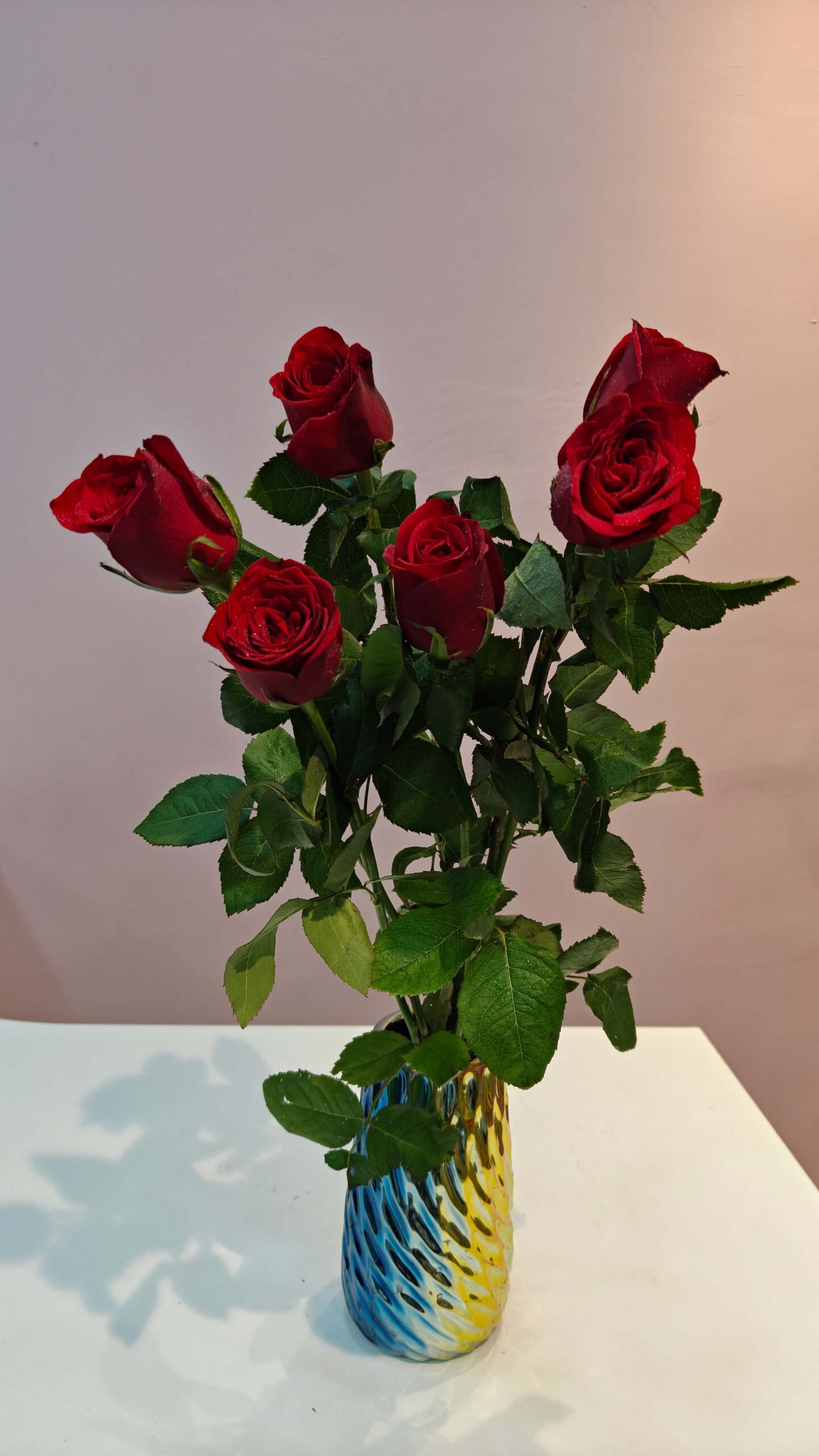 Single Rose red