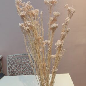 Rice flower dry
