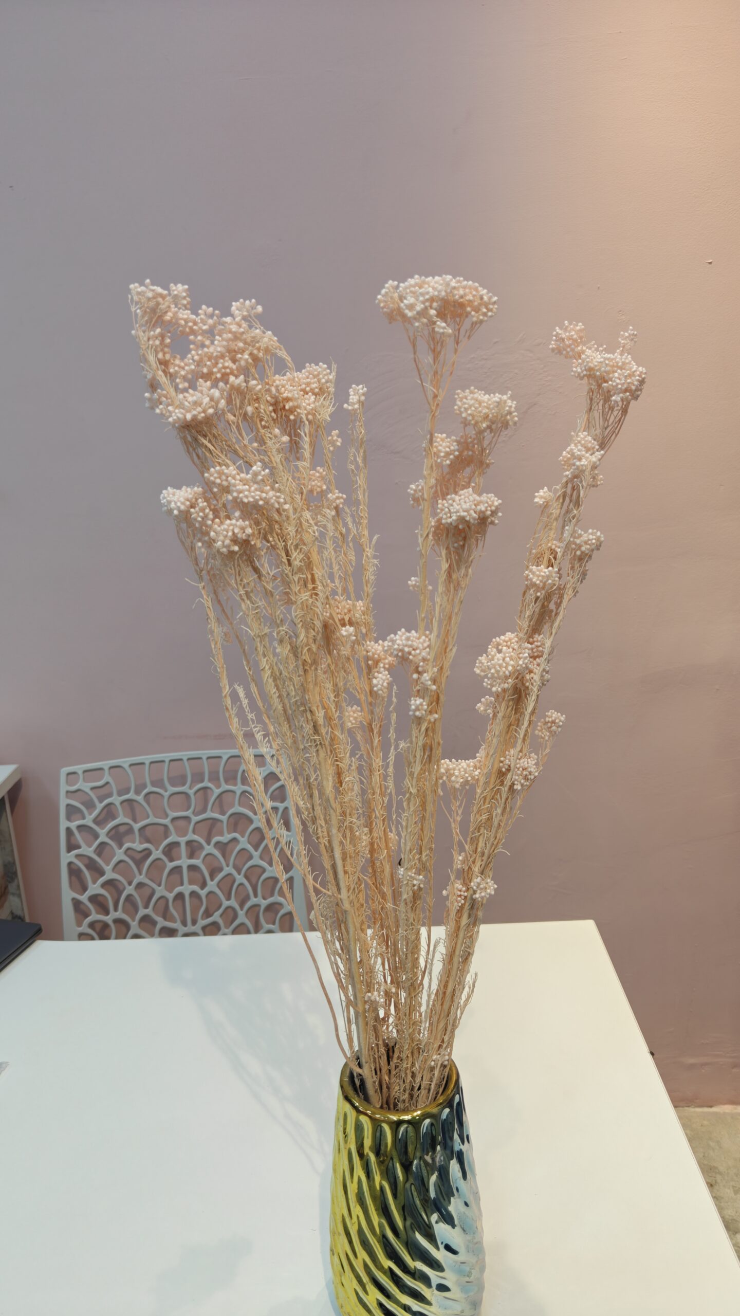 Rice flower dry