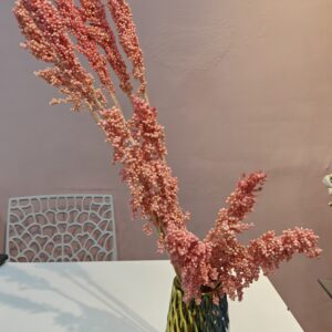 Sorghum dry flower