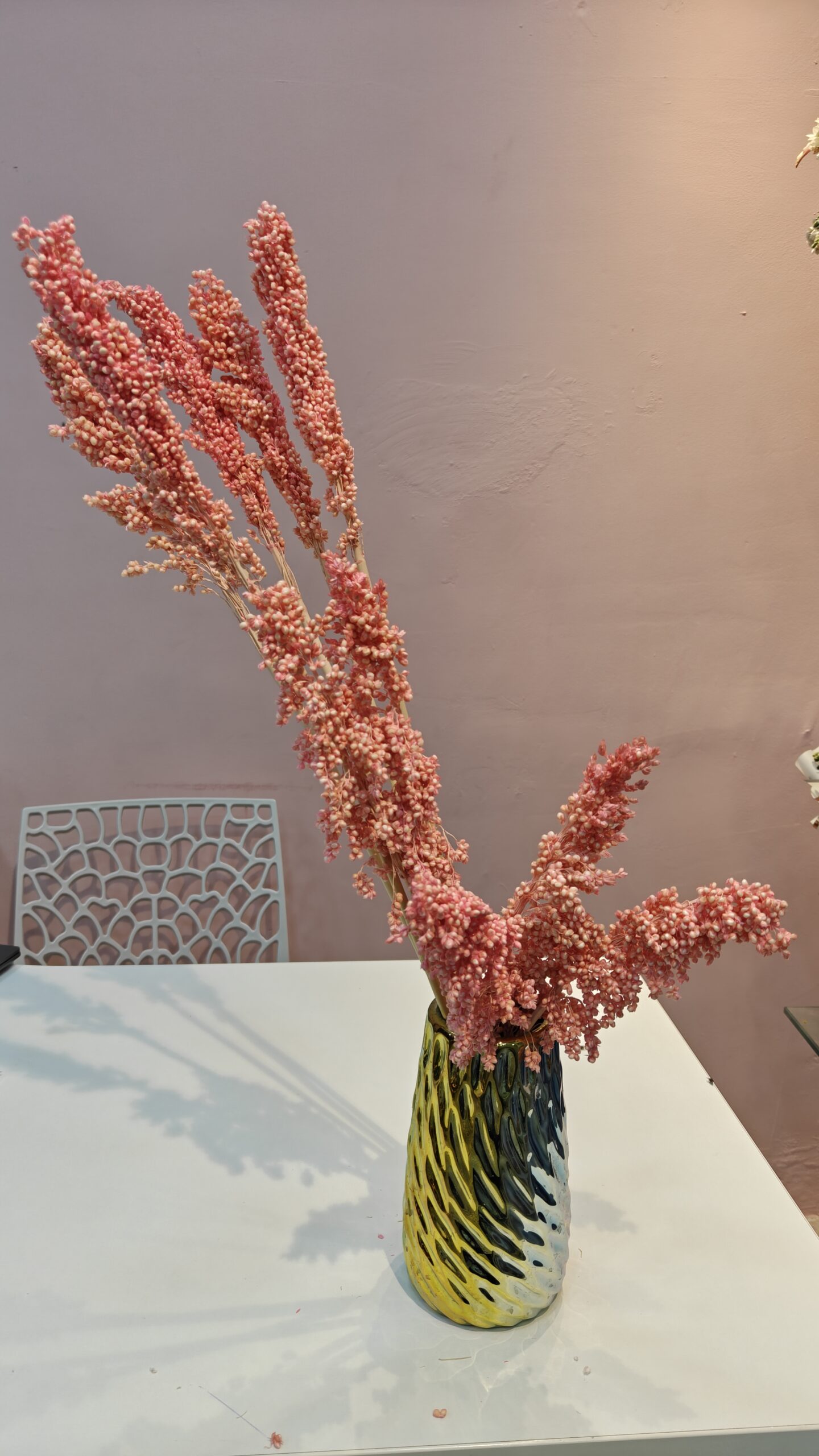 Sorghum dry flower