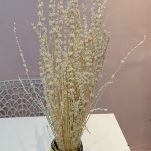 Lavender dry