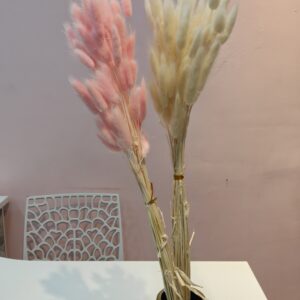 Bunny tails dry